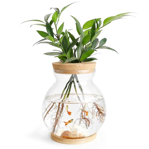 DOERDO Desktop Fish Bowl Landscape Bottle Mini Glass Terrarium Clear Glass Small Fish Tank for Small Betta Fish Plants, 7x5.9 Inch - color: Hole