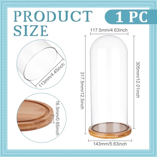 BENECREAT 4.6x12inch Eternal Transparent Flower Glass Cover, Glass Display Dome Cloche Jar with Sandy Brown Solid Wood Base for DIY Flower Craft - color: Sandy Brown