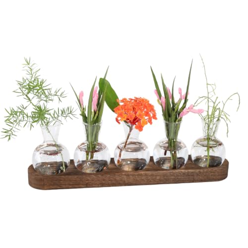 Plant Propagation Station with Wooden Stand, 5 Bulbs - color: 5 Bulbs