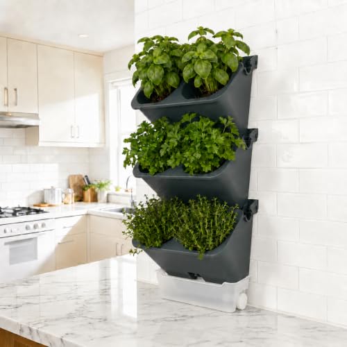 3-Tiers Vertical Wall-Mounted Planter with 6 Pots Vertical Garden Living Wall Planter Indoor Self-Watering Soil-Water Separation Stackable Plastic Planter for Herb Vegetable Flower Succulent (Green)