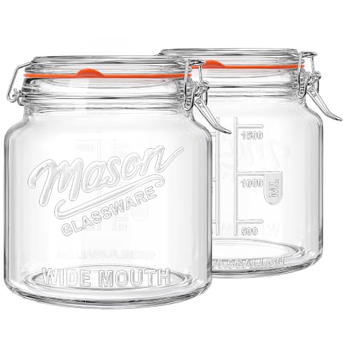 Qianfenie 64 oz Mason Jars with Lids, 2 Pack Half Gallon Glass Jars