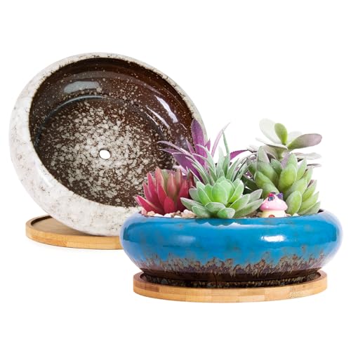 ARTKETTY Succulent Pots - Large Ceramic Planters with Drainage - color: Blue/White