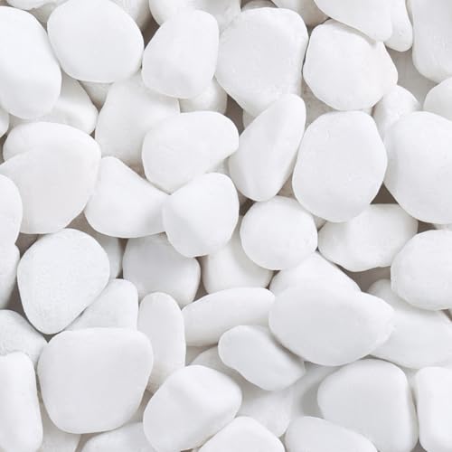 SIDONG 5 lbs White River Rocks, 1.2-2 Inches Pebbles for Indoor Plants, Aquarium Rocks Used in Fish Tank, Decorative Stones for Plants, Vases, Home Décor, Crafting, Garden Landscaping - color: White, size: 5 lbs,1.2-2inch