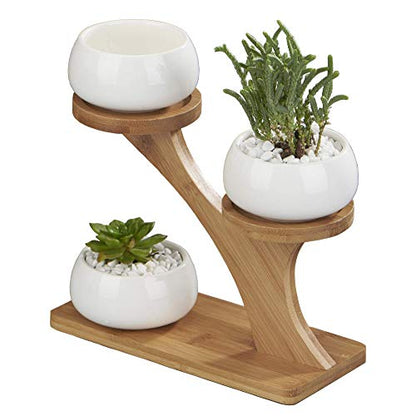 FLOWERPLUS Planter Pots Indoor, 3 Pack 3 Inch White Ceramic Decorative Small Round Succulent Cactus Flower Plant Pot with Tree Tier Bamboo Stand for Garden Kitchen Home Office Desk Decorations