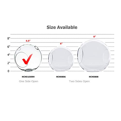 WGV Planter Terrarium, Width 6" Height 6.5", Clear Globe Glass Vase Container Orb with Two Side Opening, DIY Air Planter, Votive Candle Holder for Decor, 1 Piece - size: Double Opening Orb