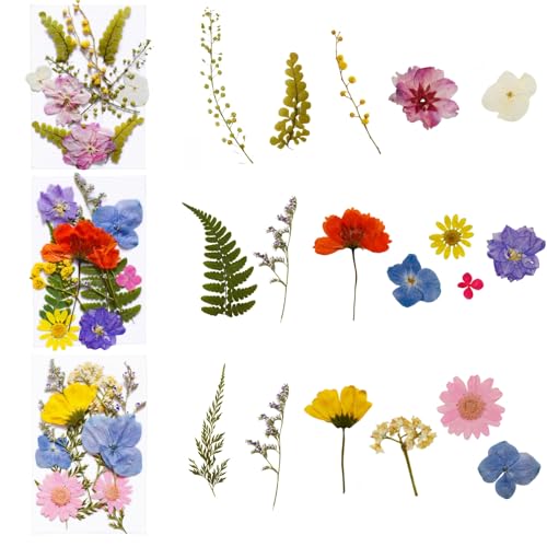 112Pcs Pressed Dried Flower Head for Crafts, Natural Real Mini Flowers Flowers for Crafts, Bulk Flowers for Resin Molds, Candles, DIY Art Jewelry Making with Tweezers Butterfly Stickers Set Decorate