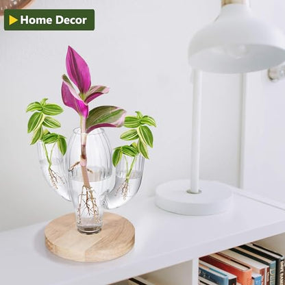 Plant Propagation Stations, Unique Cactus-Shaped Plant Propagating Vase, 3 Independent Areas for Various Plants, Gardening & Housewarming Gifts for Plant Lovers, Home or Office Decor