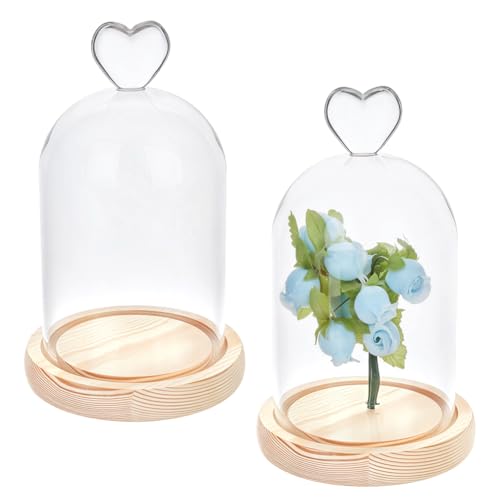 MAYJOYDIY 2 Pack Cloche Glass Dome Dome Cloche with Rustic Wooden Base Glass Cloche Bell Jar Display for Plants, Medals, Photos, Antique Collectibles, 3.9x6.1 - size: 3.9x6.1"