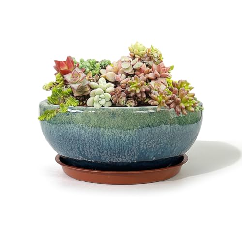 9 Inch Glazed Terracotta Plant Pot Round Ceramic Succulent Planter Pot with Drainage and Mesh Pad Cactus Clay Bonsai Pot (Green) - color: Green, size: 9 Inch