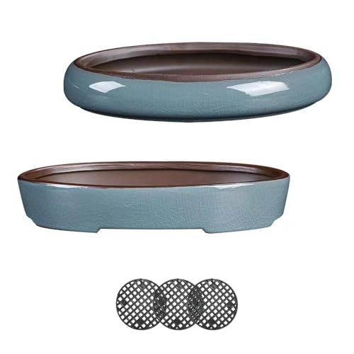 10 Inch Shallow Bonsai Pots, Water Glaze Blue, 2 Piece Set