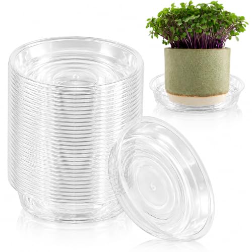 40 Pack 6 Inch Plant Saucer Clear Plant Saucers for Indoors Flower Pot Saucers Small Plants Plate Dish Succulent Pot Saucer Plants Trays for Pots Bulk Plastic Tray for Flower Cactus Nursery Pots - color: Clear, size: 6 inch: 40 pcs
