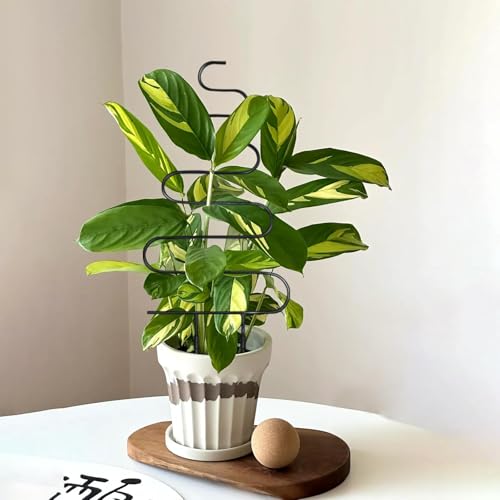 23in Plant Trellis for Climbing Plants Indoor, 4 Shapes | Trellis for Potted Plants with Ties, Metal Climbing Plant Support for Houseplant Flower Pothos, 4 Different Panels