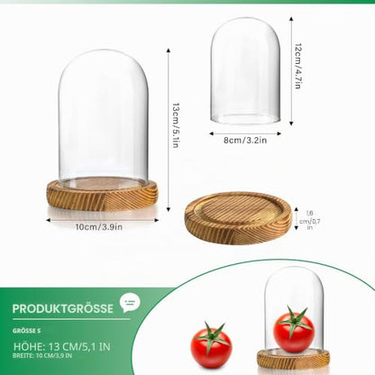 Cloche Glass Dome with Wooden Base, Glass Display Dome Bell Jar 5.1" | Fits collectibles under 5.1" tall, crystal-clear glass, sturdy wood base, dust protection, ideal for gifts and décor