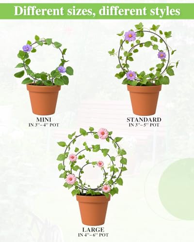 3 Pack Small Round Hoya Trellis, Indoor Climbing Houseplant Trellis, Black - color: Black