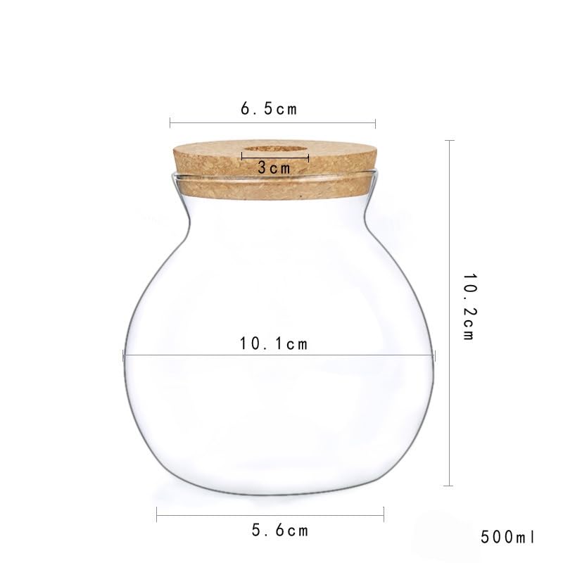 Plant Propagation Station, Hydroponic Glass Container Vase Jars, with Saucer for Desks, Houses, Garden Decorations, Home Kitchen Decorations and Gifts for Plant Lovers