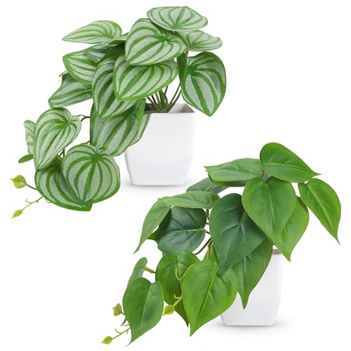 Der Rose 2Pcs Small Fake Plants Indoor for Shelves and Bathroom Decor - color: White
