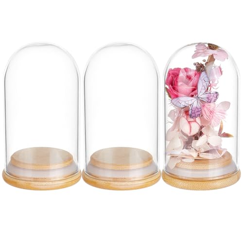 BENECREAT 3Pcs Dome Decorative Jars, 4x2.3inch Glass Display Dome Cloche Glass Bell Jar with Solid Wood Base for Flower Storage, Specimens, Crafts Decorations