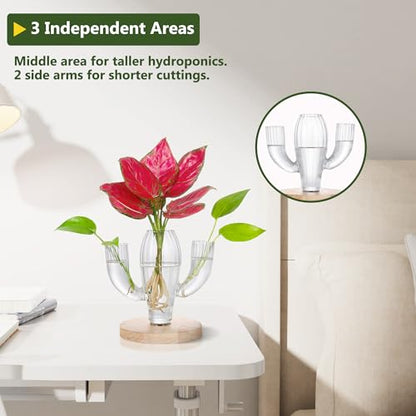Plant Propagation Stations, Unique Cactus-Shaped Plant Propagating Vase, 3 Independent Areas for Various Plants, Gardening & Housewarming Gifts for Plant Lovers, Home or Office Decor