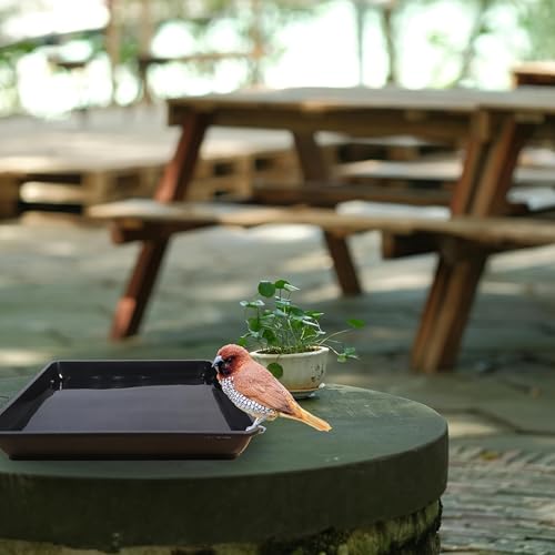 4 Pack 12 Inch Square Plant Saucer, Plant Drip Trays and Flower Pot Saucers, Plant Trays for Indoors No Holes, Plant Drainage Tray Saucers for Potted Plants (Black)