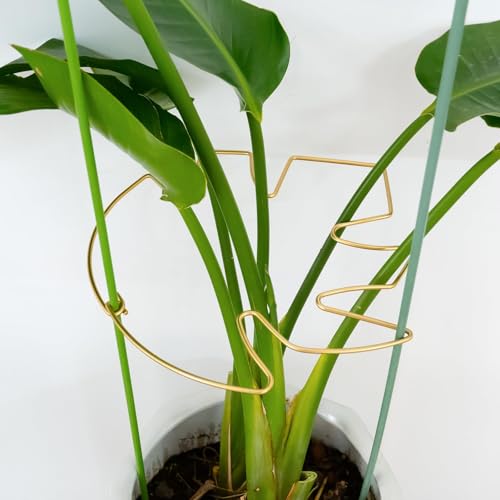 5PCS Monstera Plant Stem Support with Leaf Holders - Innovative Cactus Stake for Indoor Plants - Unique Plant Support Kit for Healthy Growth - Ideal for Gardening Enthusiasts - color: Gold, size: 11IN*9.4IN
