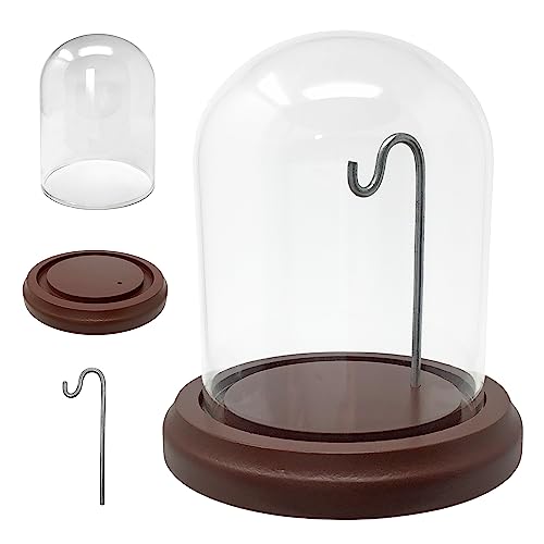 BANBERRY DESIGNS Clear Glass Display Dome with Wooden Base & Metal Hook – Set of 2 Cloche Bell Jars – 4.5" H x 4" W – Decorative Cover for Collectibles, Jewelry, Mini Plants & Crafts