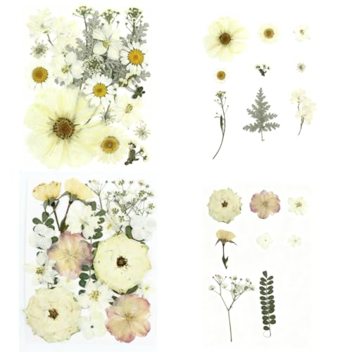 80Pcs Pressed Flowers, White Dried Flowers Natural Pressed Flowers Bulk for Resin Molds, Nail Art, Scrapbooking, Candle Holder, Jewelry Making, Real Dried Pressed Flowers DIY Crafts Kit - color: Multi Color-14