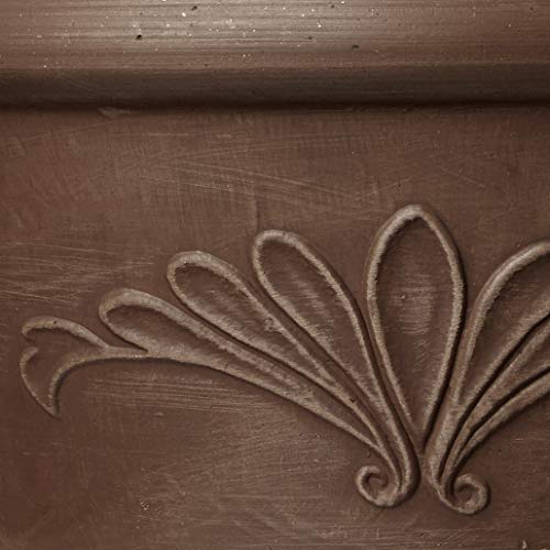 Arcadia Garden Products PSW TA30C Plastic/Stone/Wood Composite Bulb Pan – No Drainage Hole (Drillable), Planter Bowl for Succulents, Bonsai, Fairy Gardens, Herbs, Chocolate, 12"x5" (Pack of 12) - color: Chocolate, size: 12"x5" (Pack of 12)