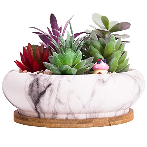 Succulent Pots, 7.3'' Large Bonsai Pots with Tray, Shallow Planters - color: White&black