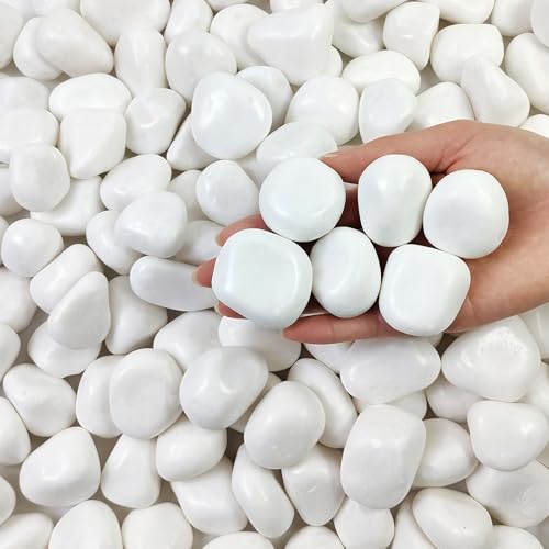 FANTIAN 5 lbs White Pebbles for Indoor Plants, Polished River Rocks | 1.5-2.5 Inch Decorative Rocks White Stones for Plants, Vase Filler, Fish Tank, Garden, Landscaping, Yard - color: White, size: 5 lbs, 1.5-2.5 Inch