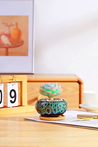 Cute Ceramic Succulent Garden Pots, Planter with Drainage and Attached Saucer, Set of 5 -Plants Not Included (Vivid Colors) - color: Vivid Colors