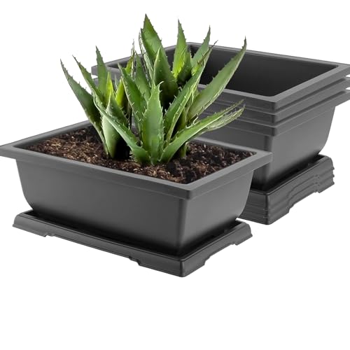 JOIKIT 4 Packs 11 Inch Large Plastic Bonsai Pots with Drainage Tray, Rectangular Bonsai Training Planter Pots, Plant Growing Bonsai Tree Pots for Garden, Decoration, Balcony - size: 11 Inch