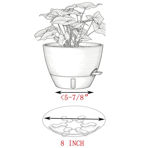 5 Pack 8 inch Heavy Duty Clear Plastic Plant Saucer Sturdy Pot Tray Plant Trays Drip Trays for pots,Plate Water Catcher,Flower Pot Saucer Water Drainage Tray Floor Protector(8") - style: 8"