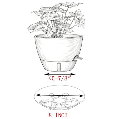 5 Pack 8 inch Heavy Duty Clear Plastic Plant Saucer Sturdy Pot Tray Plant Trays Drip Trays for pots,Plate Water Catcher,Flower Pot Saucer Water Drainage Tray Floor Protector(8") - style: 8"