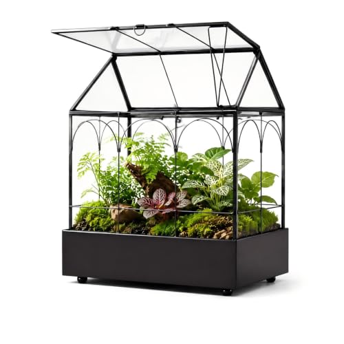 Large Tall Glass Plant Terrarium – House Succulent Terrarium Kit with Lip and Tray Glass Greenhouse Terrarium for Plant 9.5”X5.7”X11.4” - color: Black 3