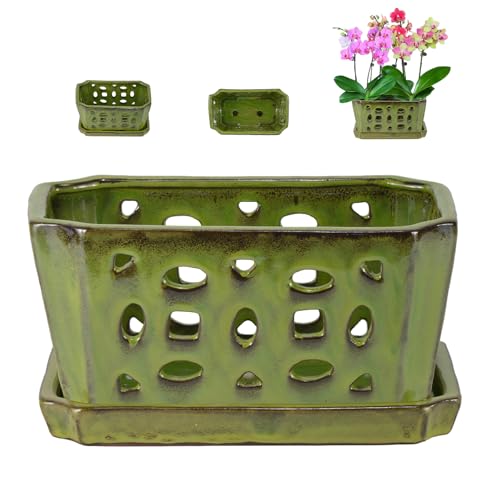 W&W Orchid Pot with Holes and Saucer for Repotting, YellowGreen, 9.7 Inch - color: Yellowgreen 9.7", size: 9.7"