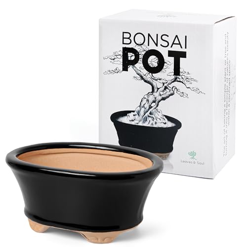 Glazed Ceramic Bonsai Pot Black Oval Bonsai Planter for Home Decor | Durable Glazed Finish for Indoor & Outdoor Display; Perfect for Bonsai Tree, Succulents & Small Plants in a Bonsai Container - color: Blackoval23