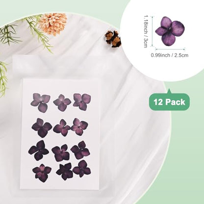 M METERXITY 12-Pack Dried Pressed Flowers for Resin, Real Natural Bulk Dry Floral for Crafts/DIY Jewelry/Soap Making/Scrapbooking/Candle/Epoxy Resin Supplies//Photo Frames [Dark Purple] - color: Dark Purple
