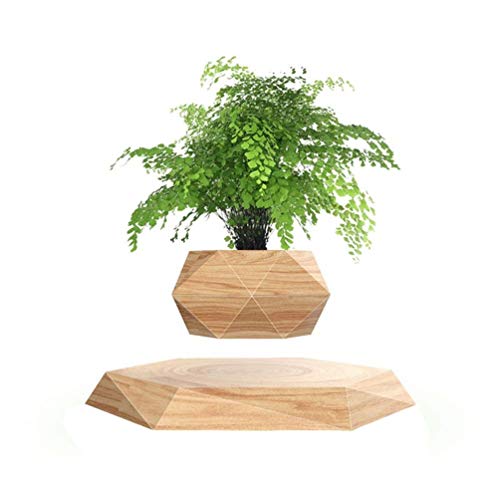 Levitating Plant Pot Hexagon Floating Air Bonsai Pot Suspension Flowerpot Planter for Office Home Decoration