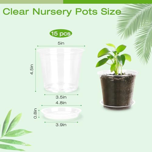 5 Inch Clear Nursery Pots with Drainage Trays, 15 Pack Plastic Pots for Plants, Clear Pot for Seed Starting, Transplanting, Succulents, and Indoor Gardening (5 inch) - size: 5 inch