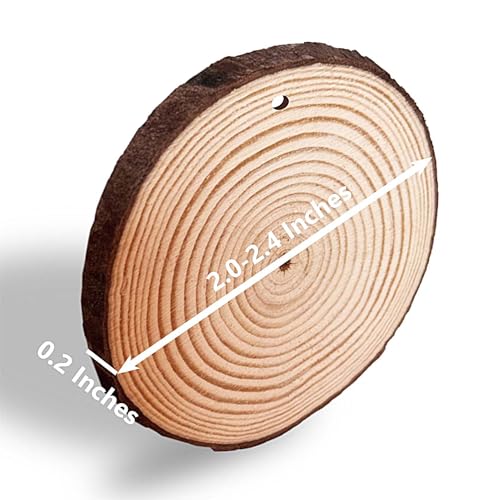 Wood Slices 2 Inch Discs Ornaments for Crafts | 60 Pcs Bulk,with holes,1.6-2 inches,unfinished natural wooden rounds,with bark - size: 1.6-2 INCH 60 PCS PRE-DRILLED