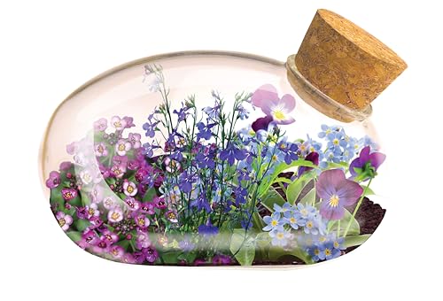 Unique Gardener Mini Office Flower Glass Terrarium Starter Kit with Complete Supplies - The Flowering Mouse Tiny Garden - Easy to Maintain IndoorPlants - Perfect for The Office Or Home Tabletop