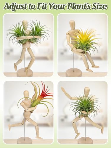 ANPHSIN 4 Pcs 8.6'' Wooden Air Plant Holder, Adjustable Poses
