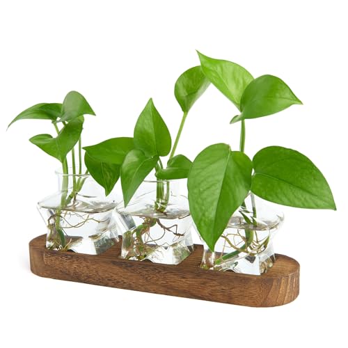 XXXFLOWER Plant Propagation Station with Wooden Stand+Wall Hanging Propagation Station