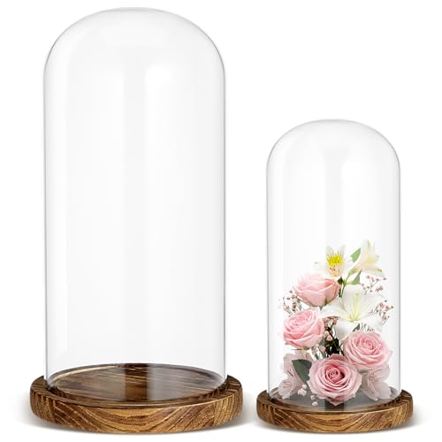 Suclain 2 Pcs Glass Cloche Dome with Base 7”/10” Decorative Glass Display Dome Tabletop Bell Jar Showcase for Plant Flower Storage Antique Collectibles Keepsakes Toy Medal Specimens Crafts Decorations