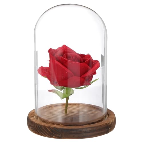 uxcell Glass Cloche Display Dome, 6.2" x 3.9" Glass Dome Display Case, Wood - size: 6.2" x 3.9"