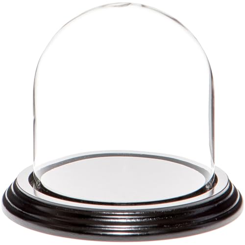 Plymor 4" x 4" Glass Display Dome Cloche (Black Wood Veneer Base) - color: Black Wood Veneer Base