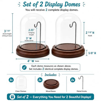 BANBERRY DESIGNS Clear Glass Display Dome with Wooden Base & Metal Hook – Set of 2 Cloche Bell Jars – 4.5" H x 4" W – Decorative Cover for Collectibles, Jewelry, Mini Plants & Crafts