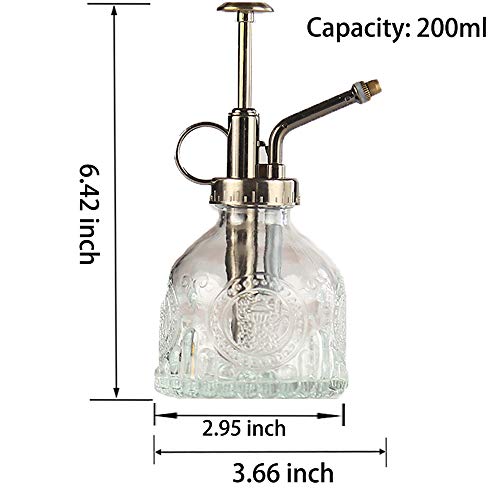 Plant Mister Glass Spray Bottle Small Plant Watering Can 6.4" Tall Retro Indoor Watering Can Bronze Plastic Top Pump for Garden Indoor Plant Sprayer (Transparent) - color: Transparent