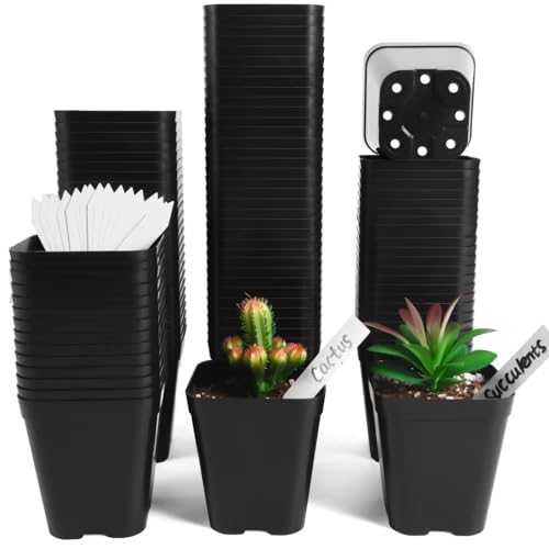 June Fox Small Seedling Pots 4 Inch, 100 Pcs Square Plant Pots Bulk, Plastic Nursery Pots with Drain Holes for Seedlings, Succulents, Cuttings (Black)