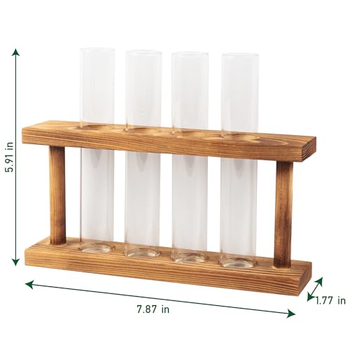 D'Eco Glass Plant Propagation Station, Set of 4 Tubes & Wood Display | Grow Hydroponics & Watch Them Grow Roots - Tabletop Vases for Home & Office Decor for Plant Lovers